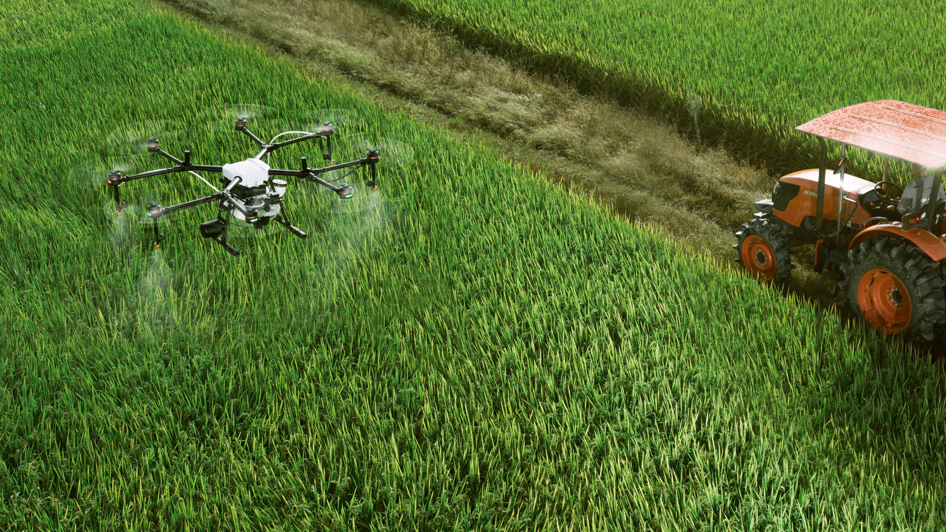 Drone on farm land