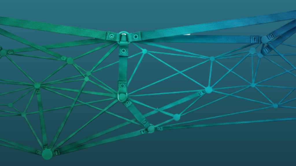 illustration of a harness