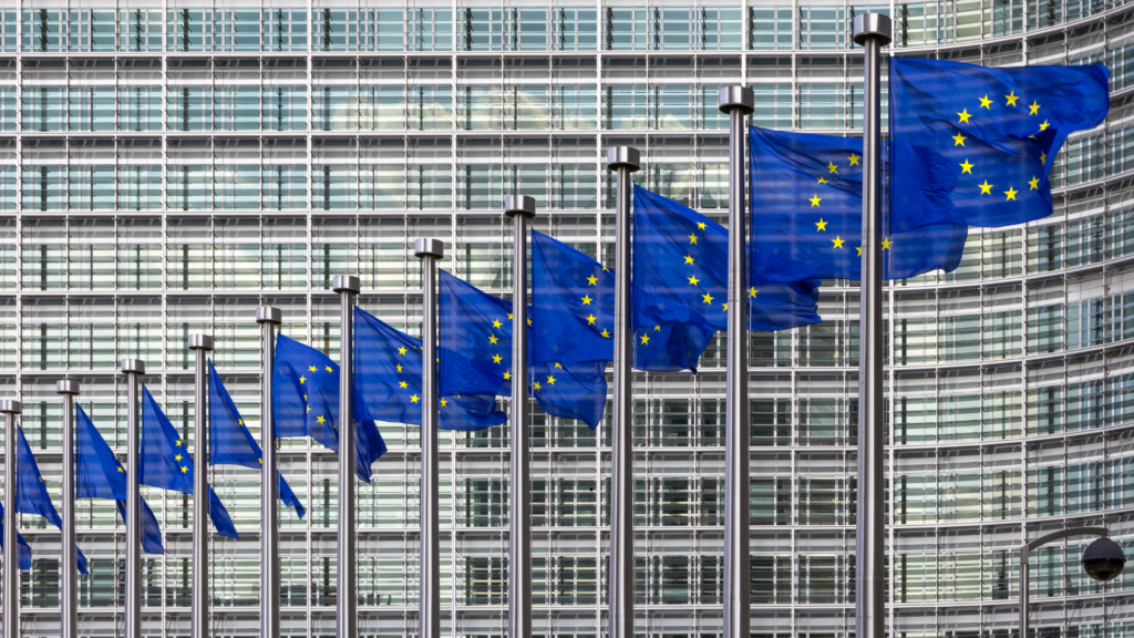 Photo of EU flags